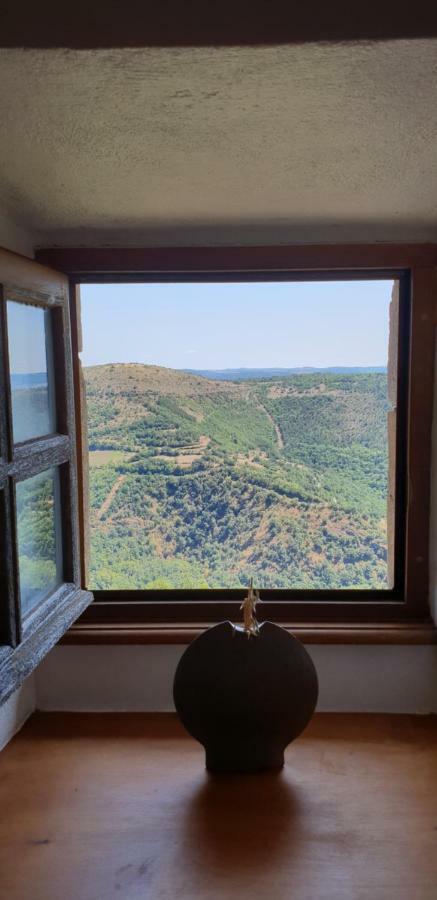 La Petite Maison Des Artistes Castelnau-Pégayrols المظهر الخارجي الصورة